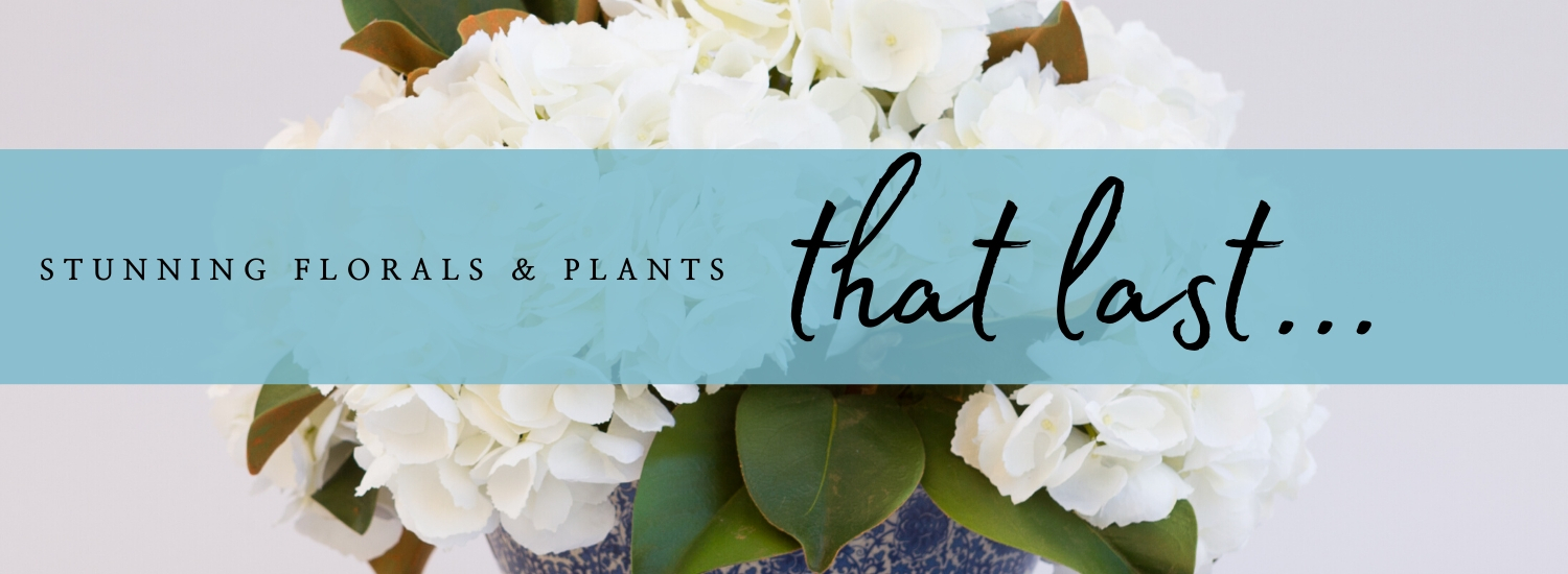 Stunning florals and plants that last... 