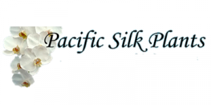 Pacific Silk Plants